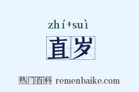 直岁是什么意思的图片